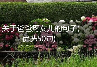 关于爸爸疼女儿的句子(优选50句)