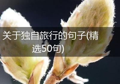 关于独自旅行的句子(精选50句)