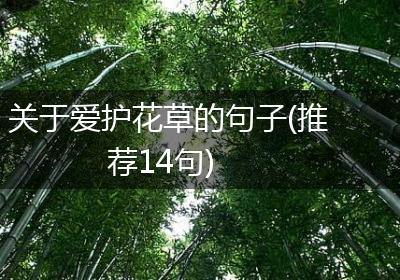 关于爱护花草的句子(推荐14句)
