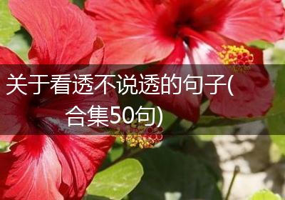 关于看透不说透的句子(合集50句)