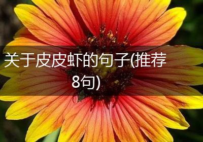 关于皮皮虾的句子(推荐8句)