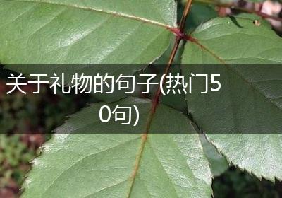 关于礼物的句子(热门50句)