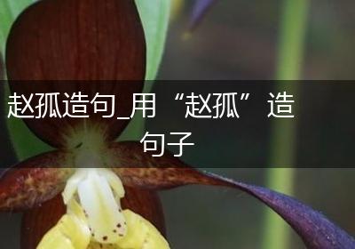 赵孤造句_用“赵孤”造句子