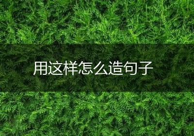 用这样怎么造句子