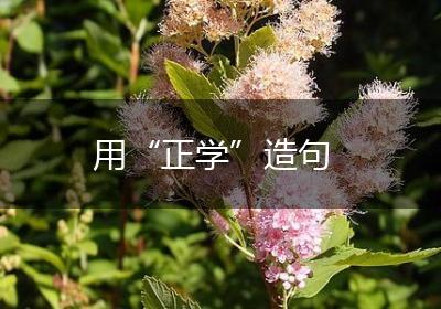 用“正学”造句