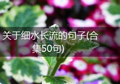 关于细水长流的句子(合集50句)
