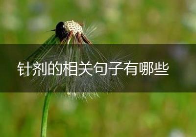针剂的相关句子有哪些