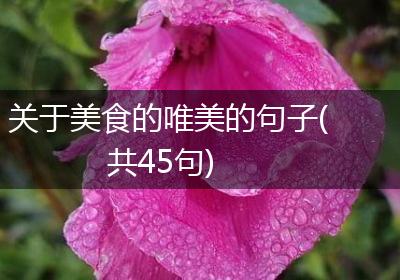 关于美食的唯美的句子(共45句)
