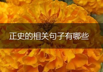 正史的相关句子有哪些