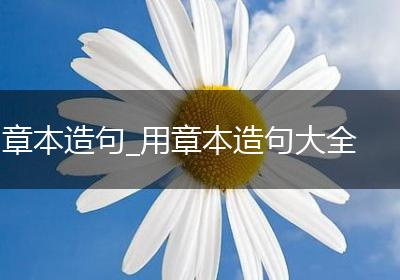 章本造句_用章本造句大全