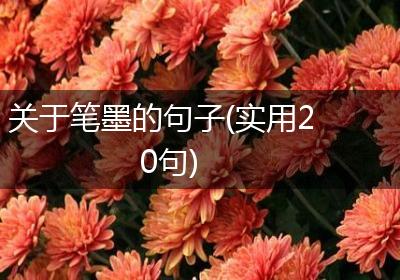 关于笔墨的句子(实用20句)