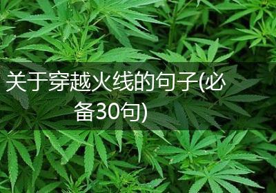 关于穿越火线的句子(必备30句)