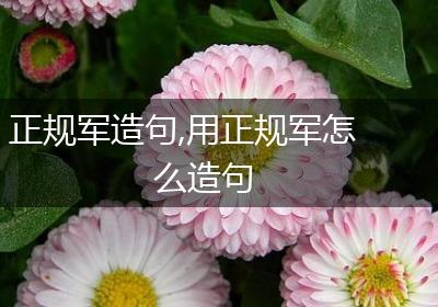 正规军造句,用正规军怎么造句