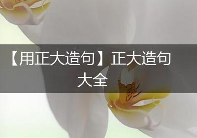 【用正大造句】正大造句大全