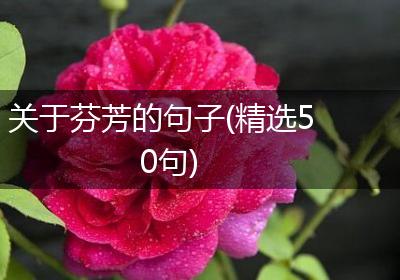 关于芬芳的句子(精选50句)