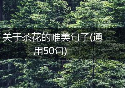 关于茶花的唯美句子(通用50句)