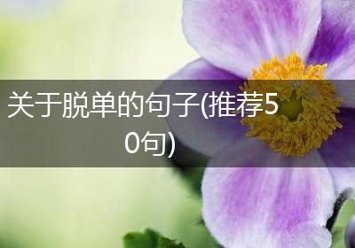 关于脱单的句子(推荐50句)