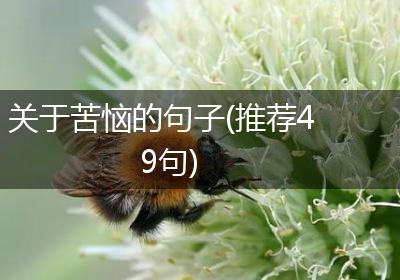 关于苦恼的句子(推荐49句)