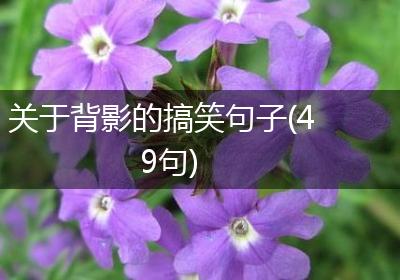 关于背影的搞笑句子(49句)