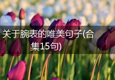 关于腕表的唯美句子(合集15句)