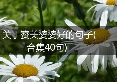 关于赞美婆婆好的句子(合集40句)