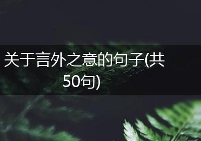 关于言外之意的句子(共50句)