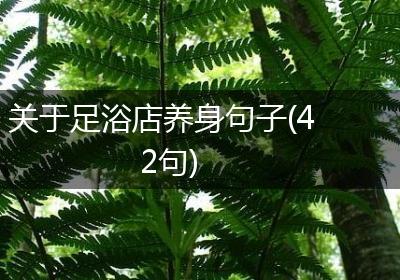关于足浴店养身句子(42句)