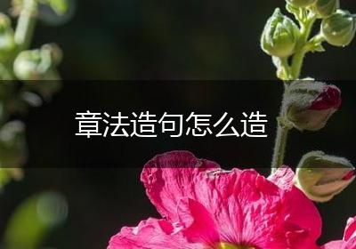 章法造句怎么造