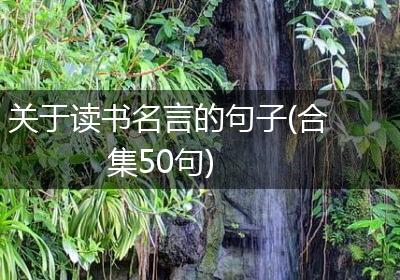 关于读书名言的句子(合集50句)