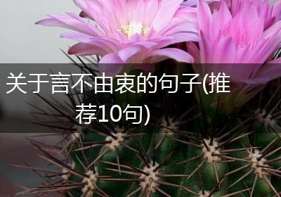 关于言不由衷的句子(推荐10句)
