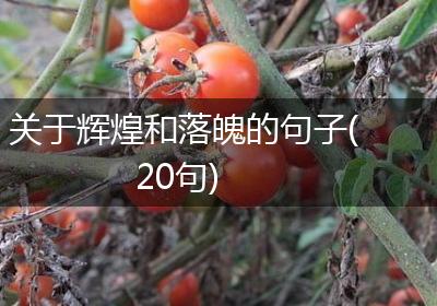 关于辉煌和落魄的句子(20句)