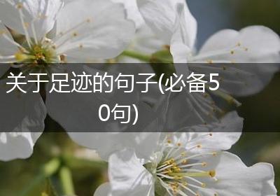 关于足迹的句子(必备50句)