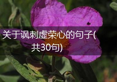 关于讽刺虚荣心的句子(共30句)