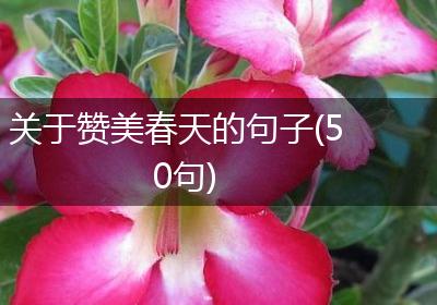 关于赞美春天的句子(50句)