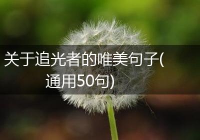 关于追光者的唯美句子(通用50句)