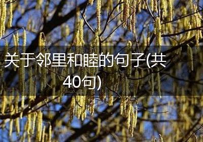 关于邻里和睦的句子(共40句)