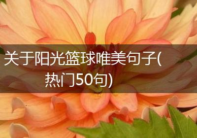 关于阳光篮球唯美句子(热门50句)