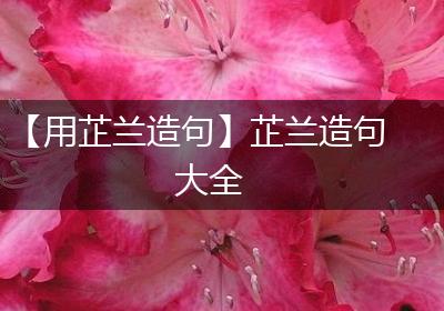 【用芷兰造句】芷兰造句大全