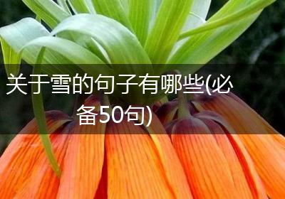 关于雪的句子有哪些(必备50句)