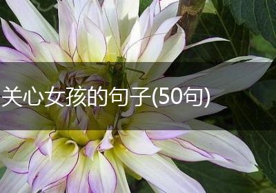 关心女孩的句子(50句)