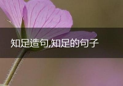 知足造句,知足的句子