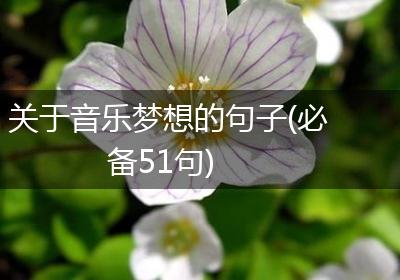 关于音乐梦想的句子(必备51句)