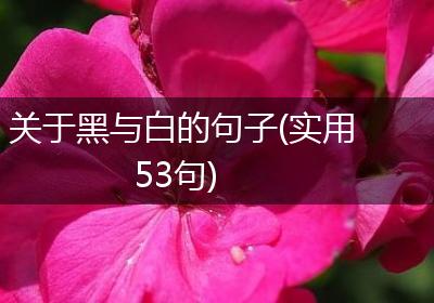 关于黑与白的句子(实用53句)