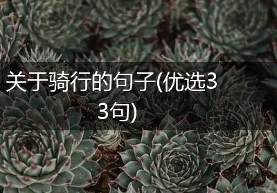 关于骑行的句子(优选33句)