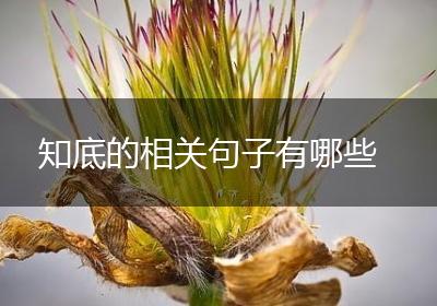 知底的相关句子有哪些