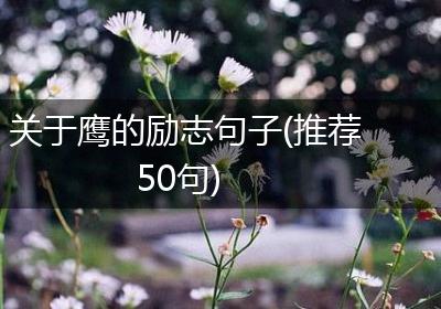 关于鹰的励志句子(推荐50句)