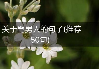 关于骂男人的句子(推荐50句)
