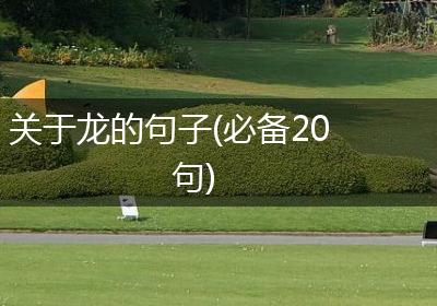 关于龙的句子(必备20句)