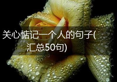 关心惦记一个人的句子(汇总50句)