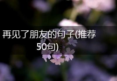 再见了朋友的句子(推荐50句)